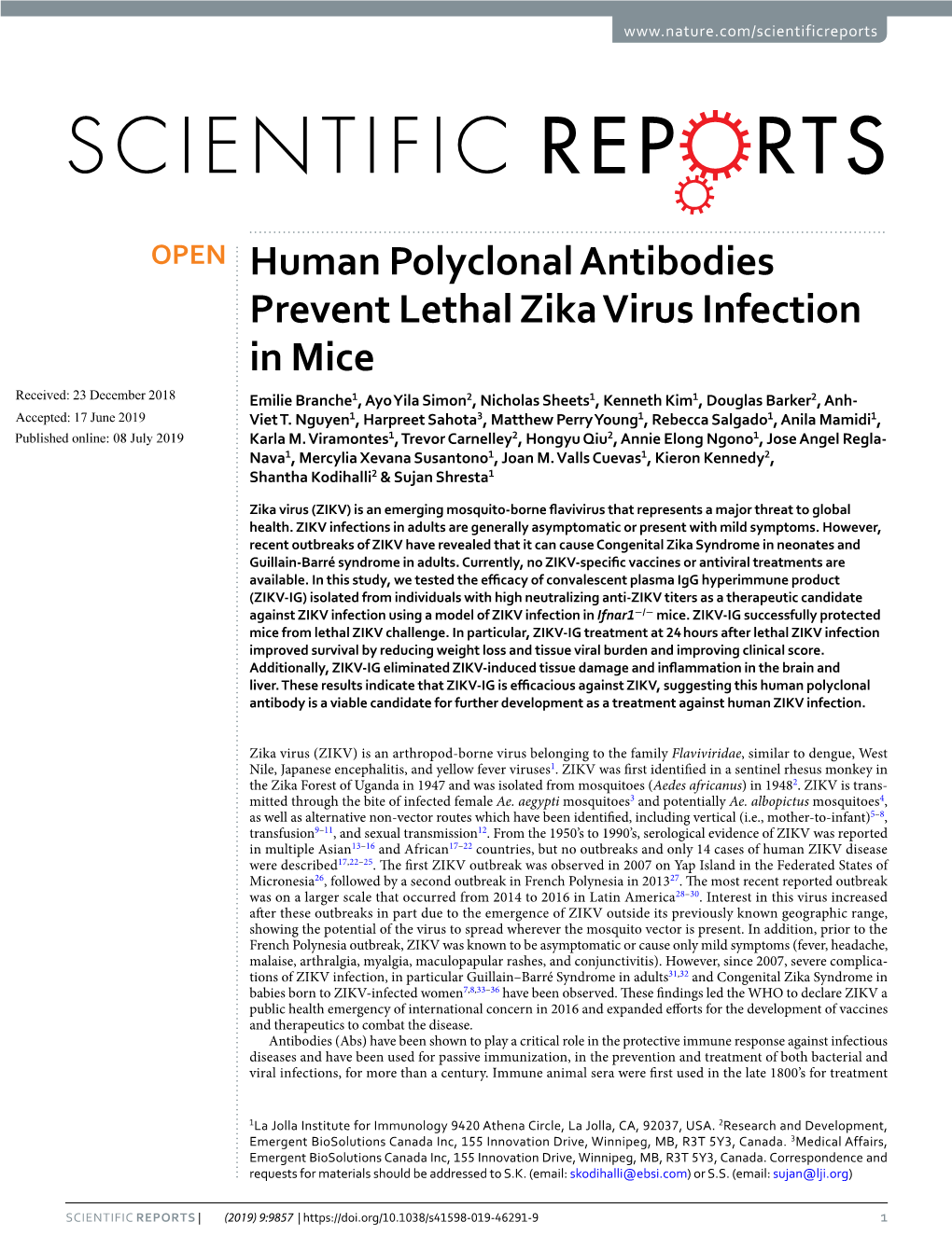 Human Polyclonal Antibodies Prevent Lethal Zika Virus Infection in Mice