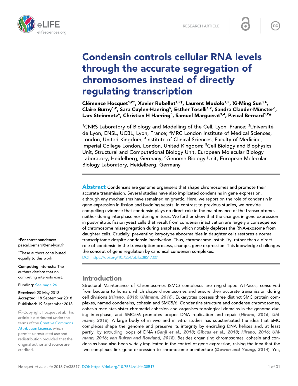 Condensin Controls Cellular RNA Levels Through the Accurate