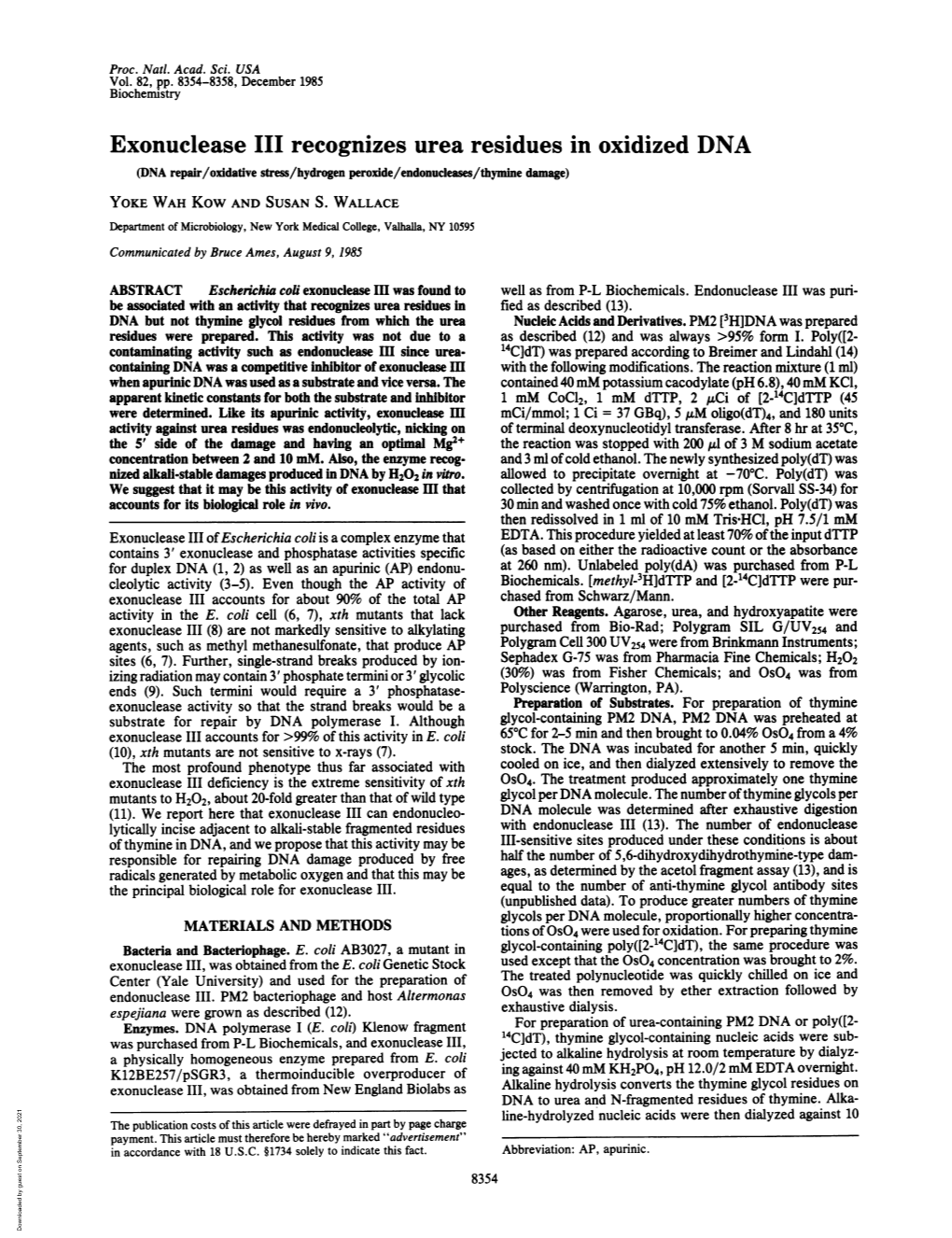 Exonuclease III Recognizes Urea Residues in Oxidized DNA (DNA Repair/Oxidative Stress/Hydrogen Peroidde/Endonucleases/Thymine Damage) YOKE WAH Kow and SUSAN S