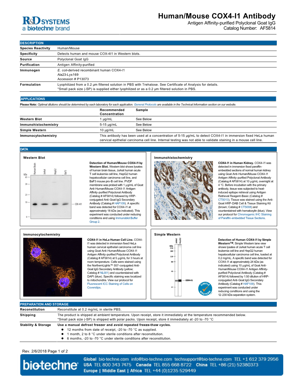 Human/Mouse COX4-I1 Antibody Antigen Affinity-Purified Polyclonal Goat Igg Catalog Number: AF5814
