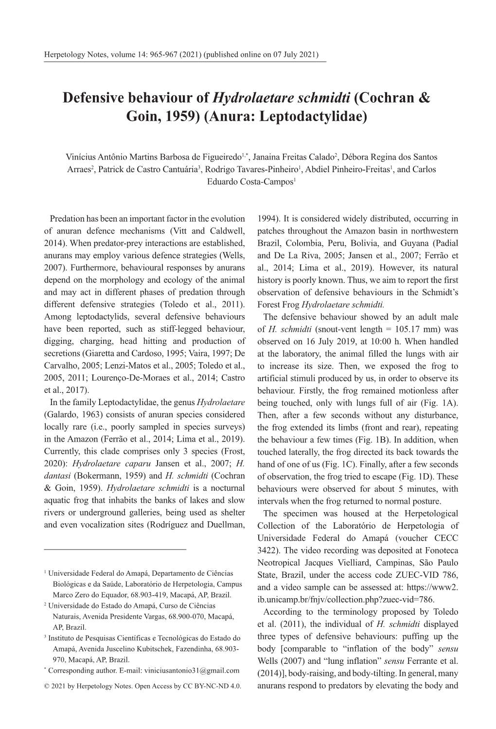 Defensive Behaviour of Hydrolaetare Schmidti (Cochran & Goin, 1959) (Anura: Leptodactylidae)