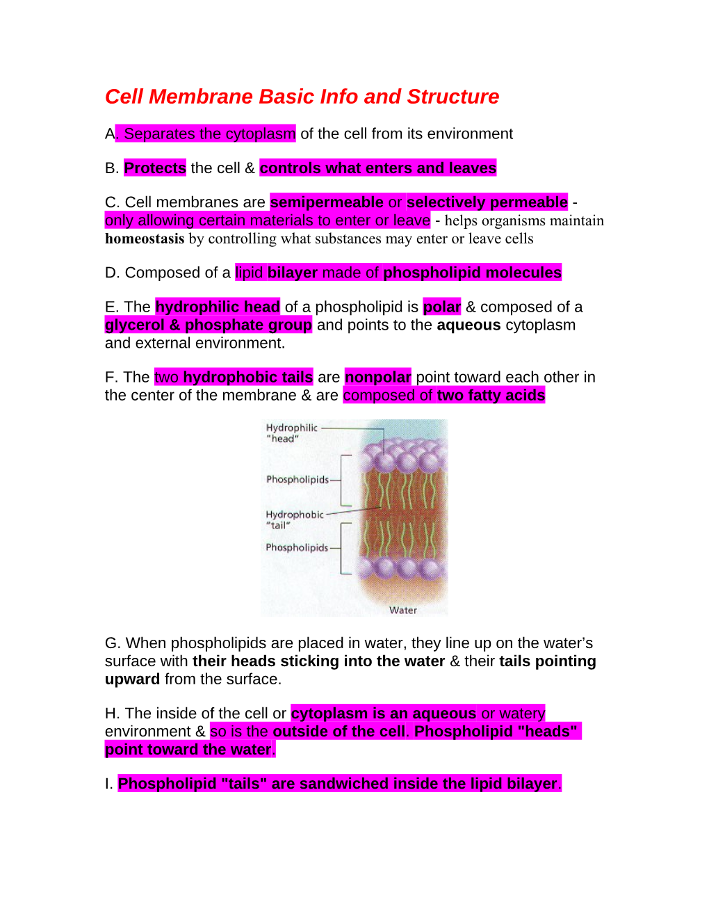 Cell Membrane Basic Info and Structure