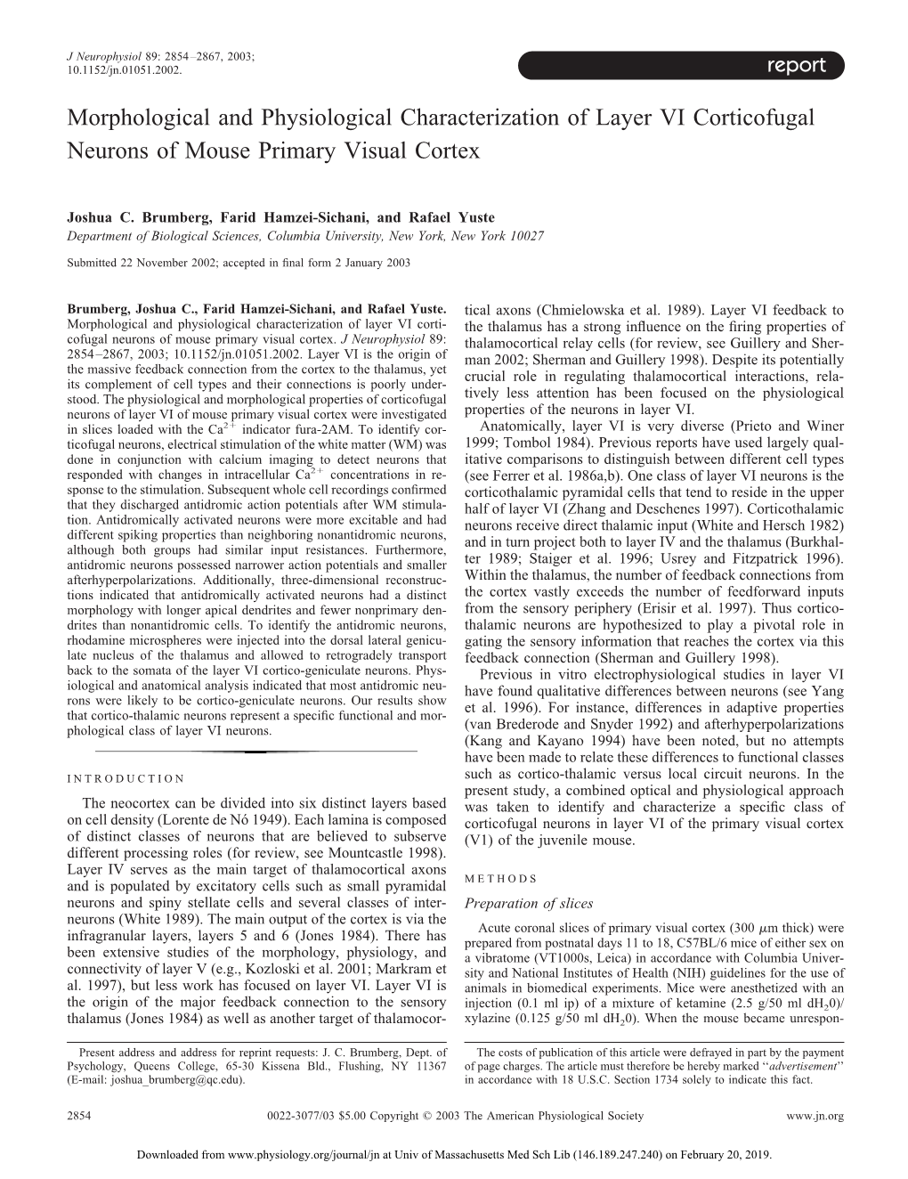 Morphological and Physiological Characterization of Layer VI Corticofugal Neurons of Mouse Primary Visual Cortex