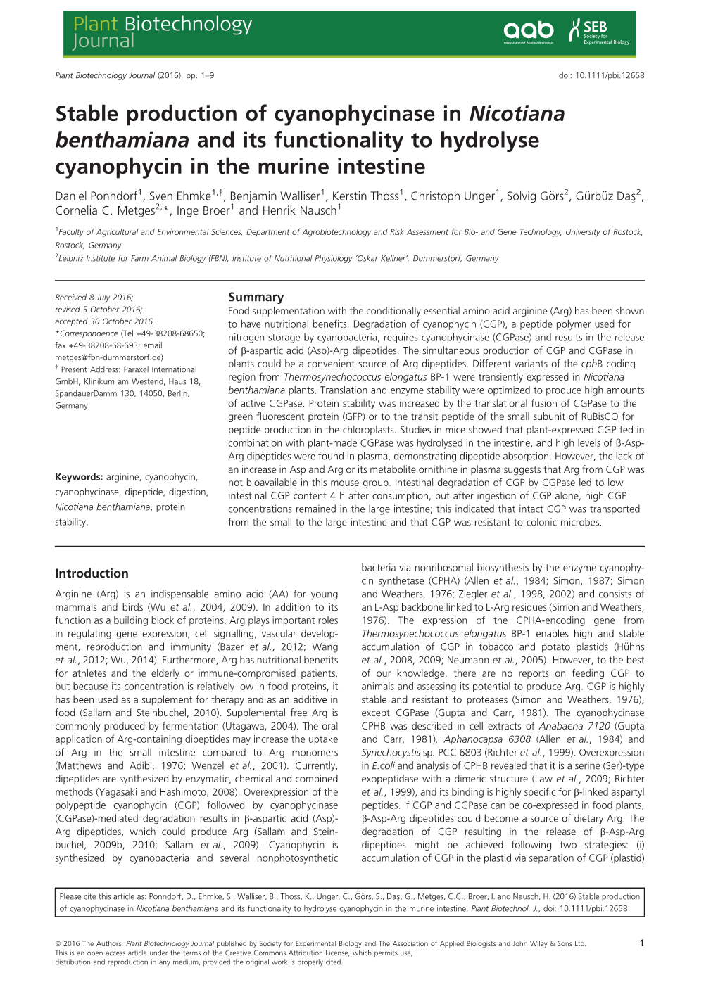 Stable Production of Cyanophycinase in Nicotiana Benthamiana and Its Functionality to Hydrolyse Cyanophycin in the Murine Intestine