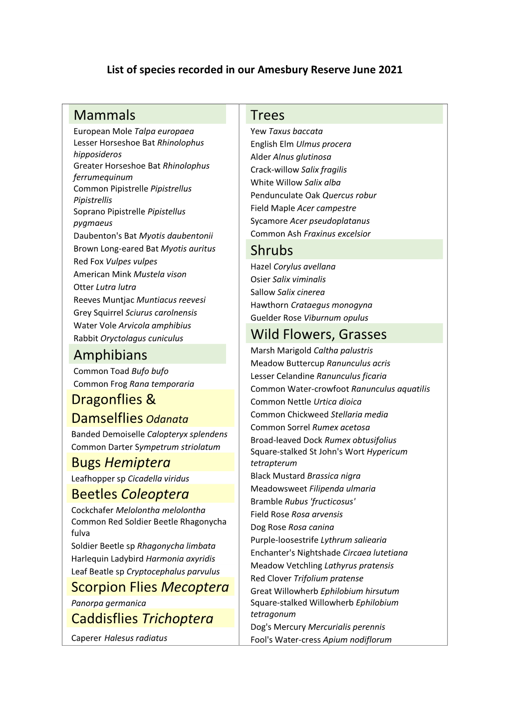 Mammals Amphibians Dragonflies & Damselfliesodanata Bugs