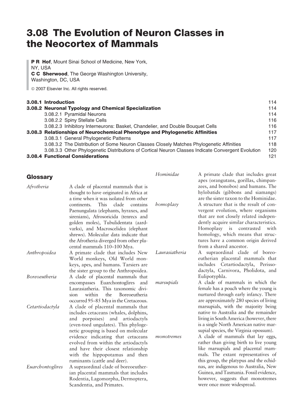 3.08 the Evolution of Neuron Classes in the Neocortex of Mammals