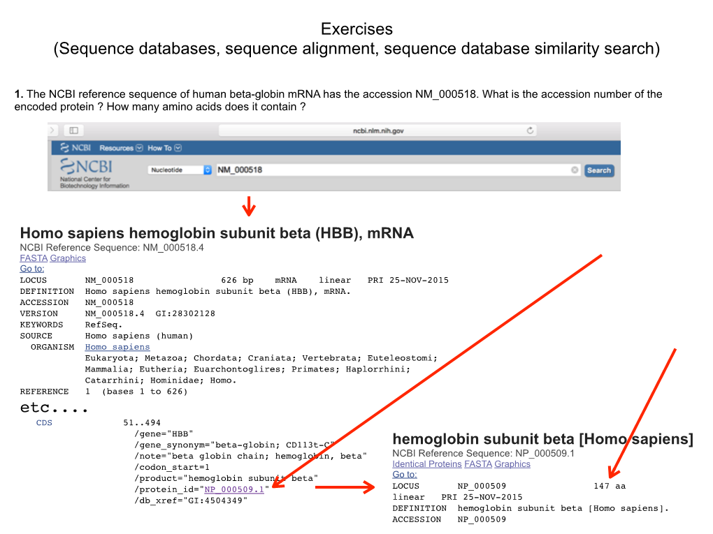 Exercises (Sequence Databases, Sequence Alignment, Sequence Database Similarity Search) Etc