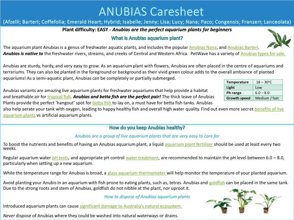 Anubias Aquarium Plant Care Sheet