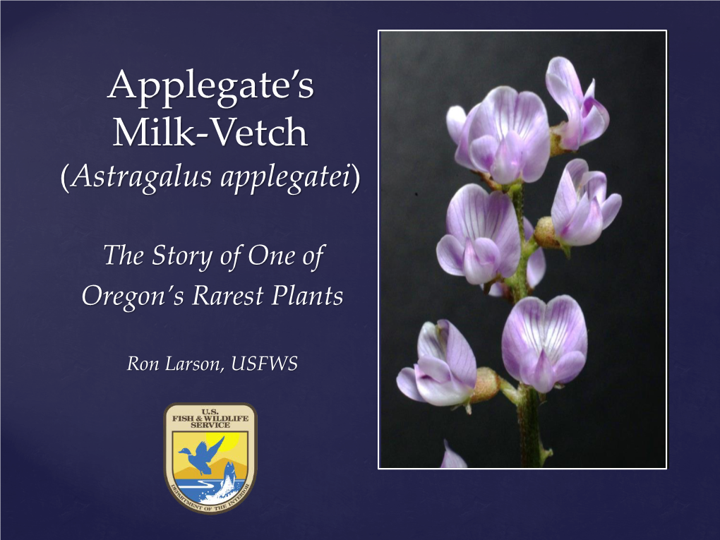 Applegate's Milk-Vetch