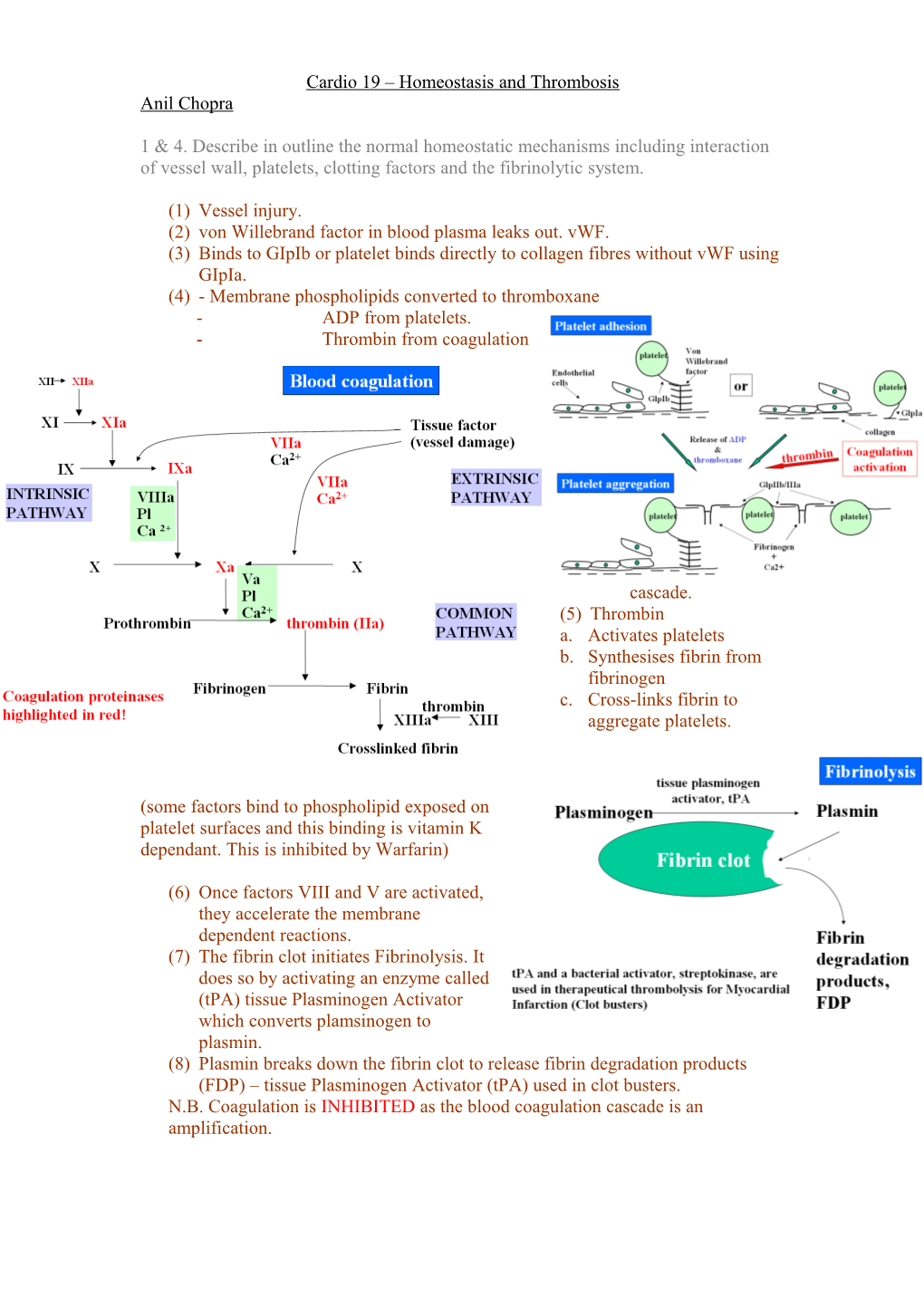 Cardio 19 Homeostasis and Thrombosis