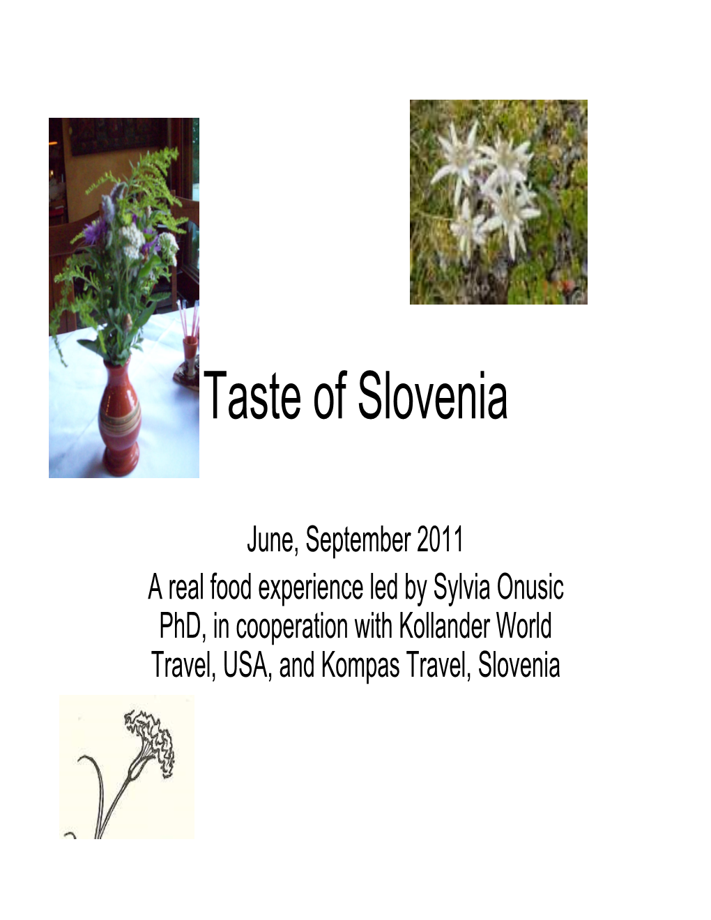 Taste of Slovenia