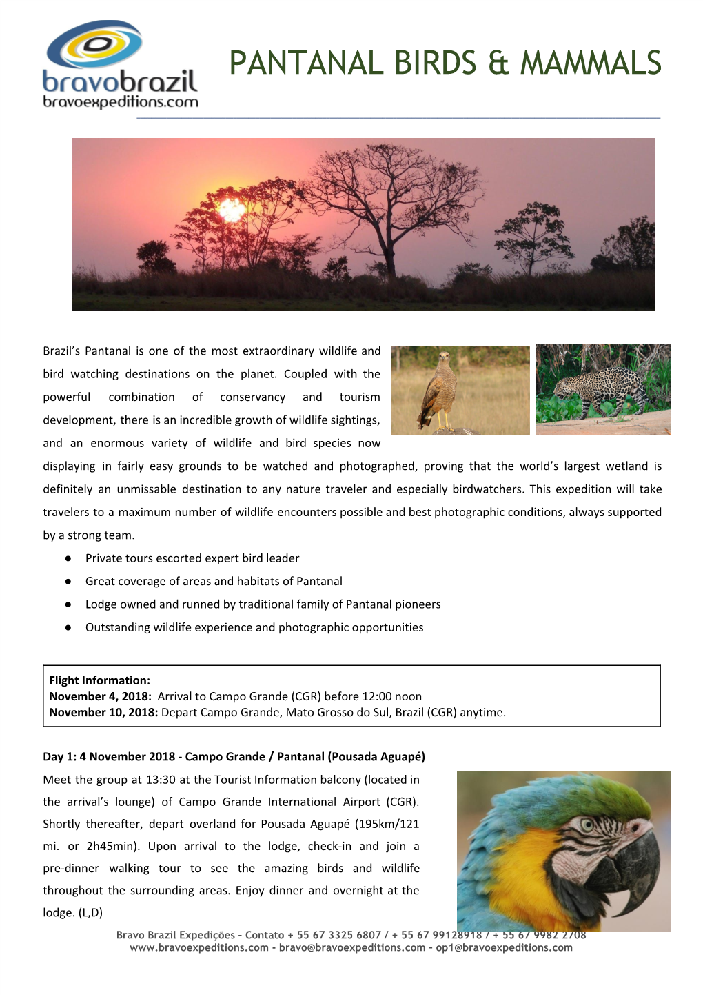 Pantanal Birds & Mammals