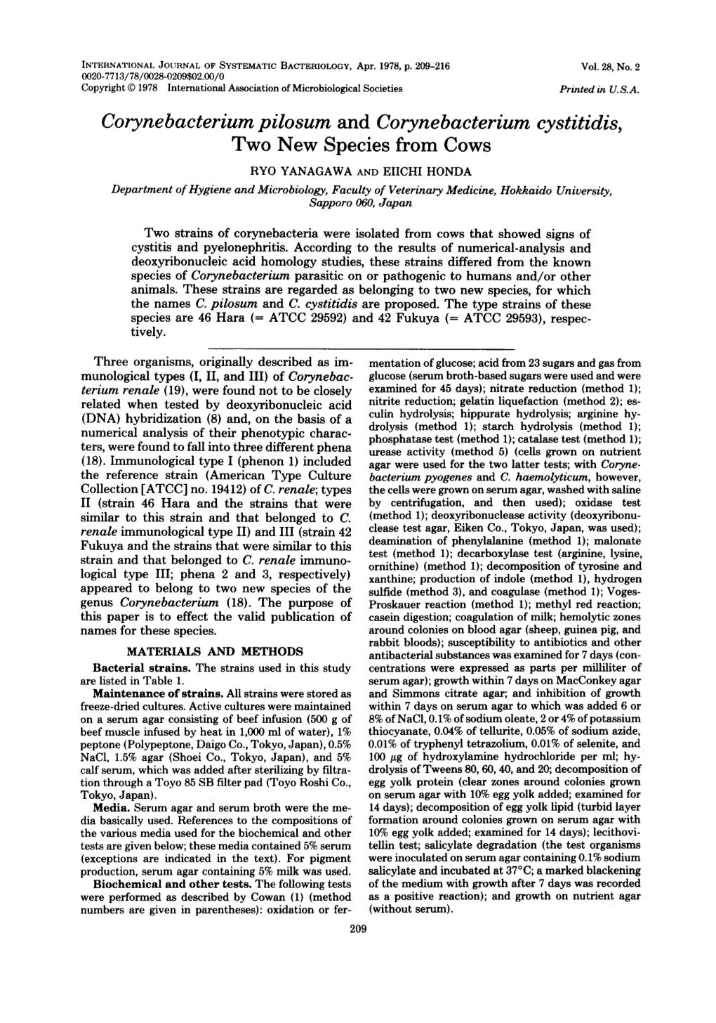 Corynebacterium Pilosum and Corynebacterium Cystitidis, Two New Species from Cows