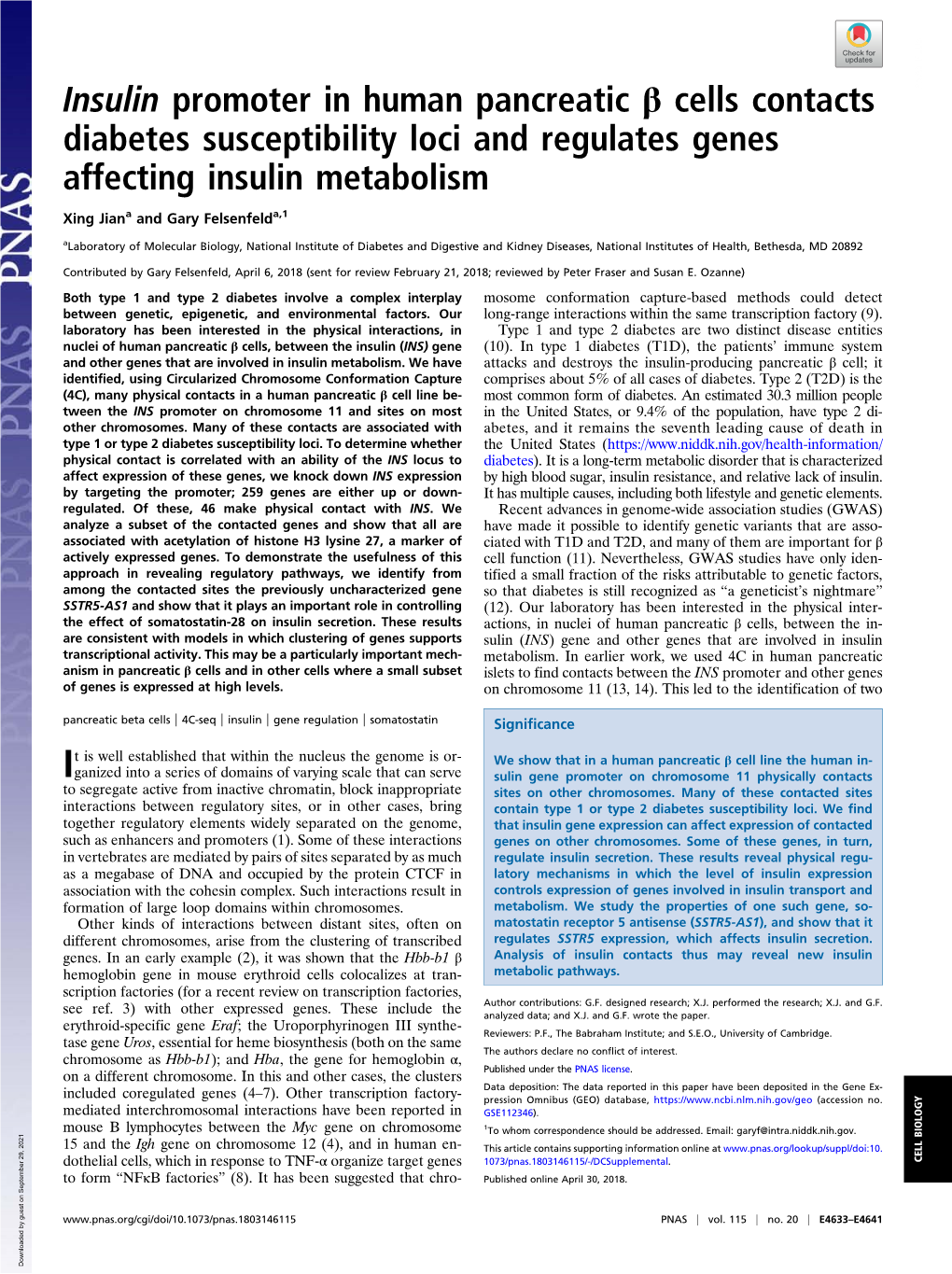 Insulin Promoter in Human Pancreatic Β Cells Contacts Diabetes