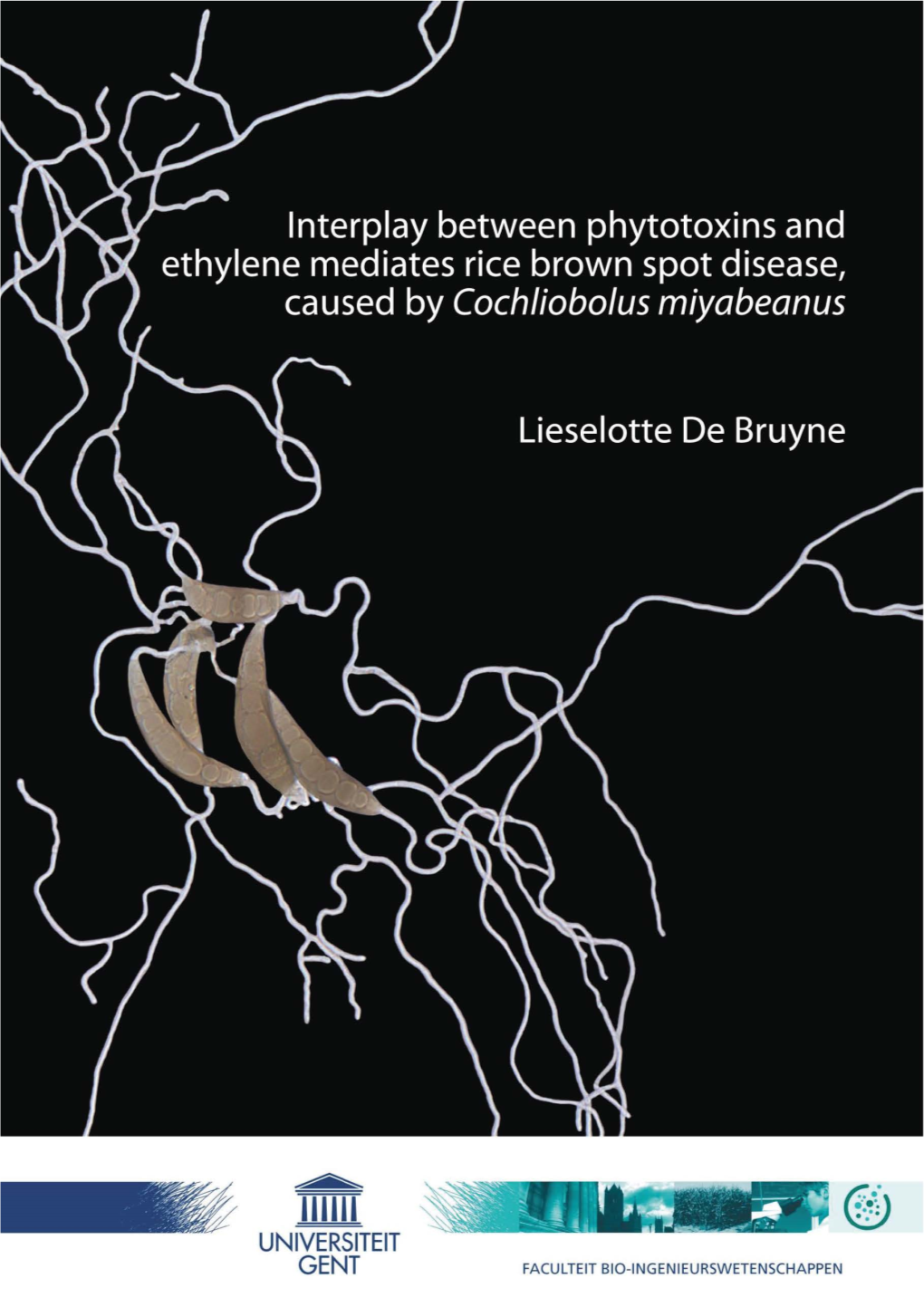 Interplay Between Phytotoxins and Ethylene Mediates Rice Brown Spot Disease, Caused by Cochliobolus Miyabeanus