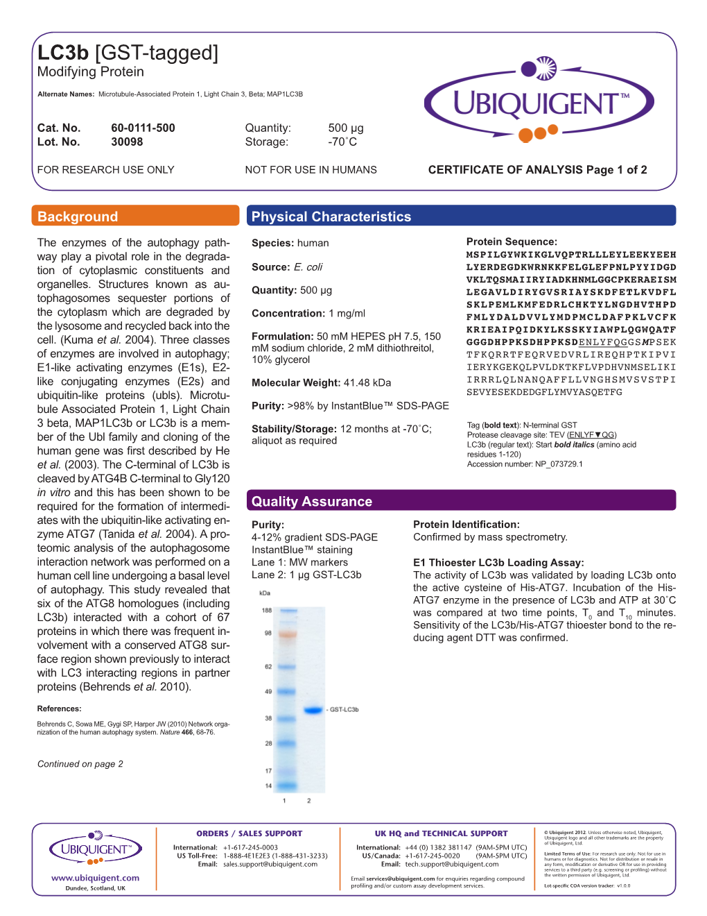 Lc3b [GST-Tagged] Modifying Protein