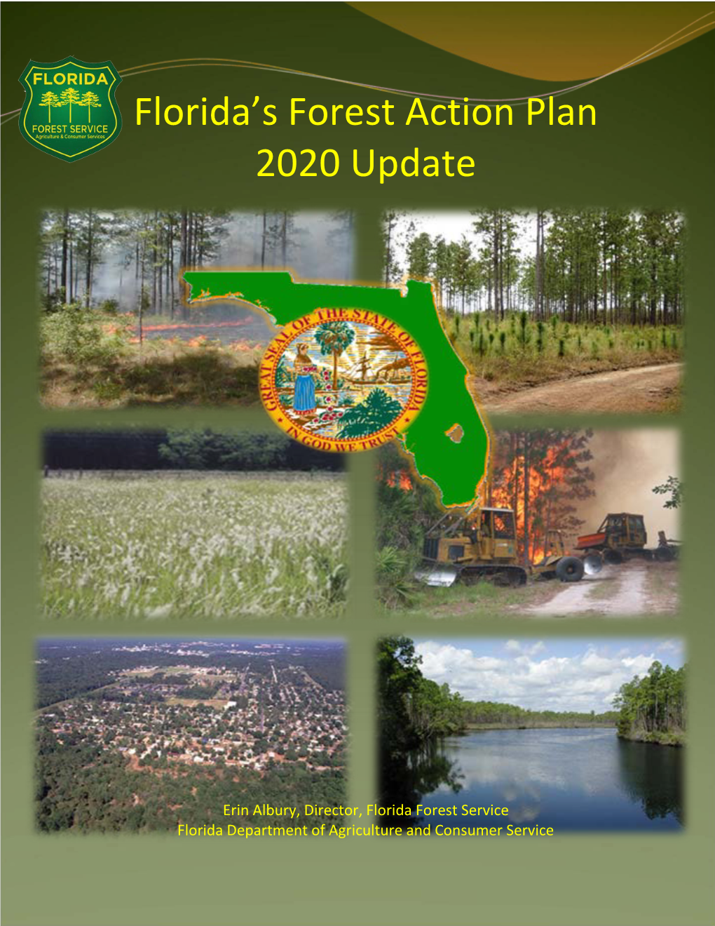 Florida's Forest Action Plan 2020 Update