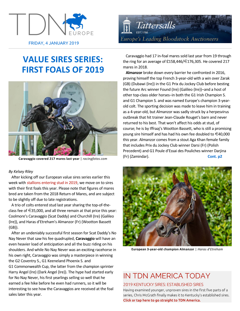 Value Sires Series: First Foals of 2019 Cont