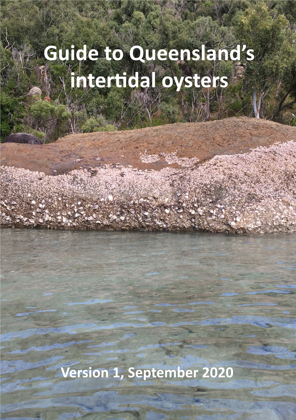 Guide to Queensland's Intertidal Oysters