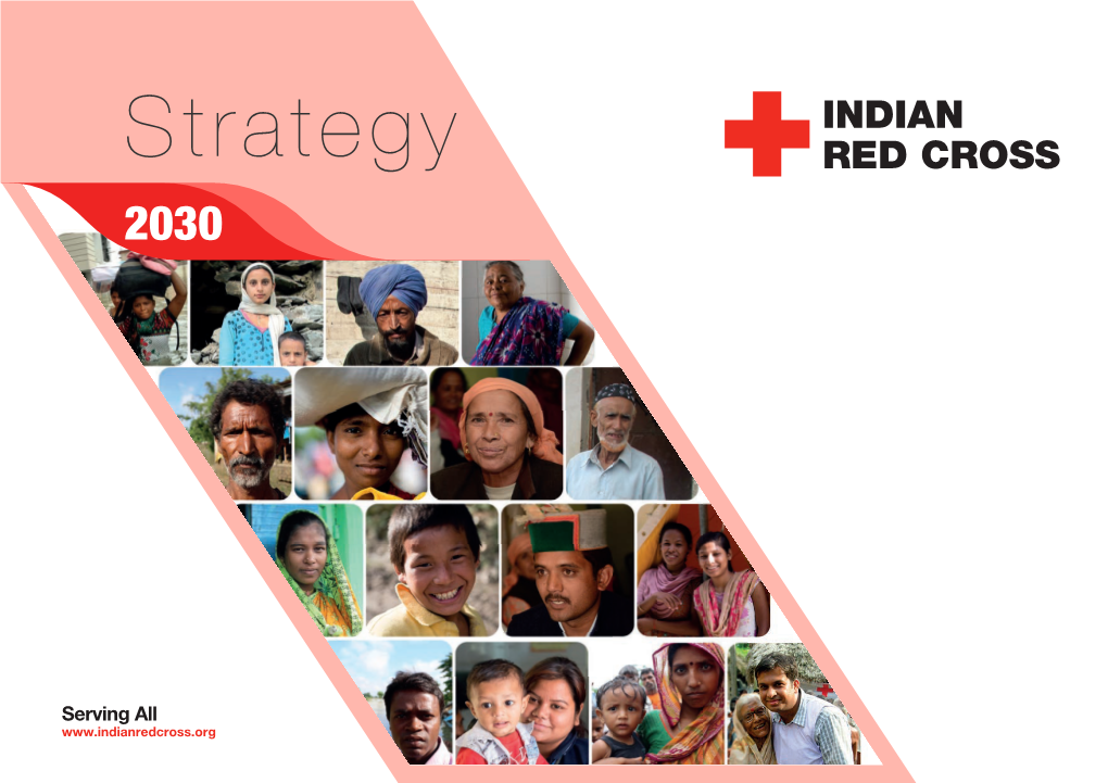 Strategy 2030: Strategic Commitments, Action Areas, and Targets 6