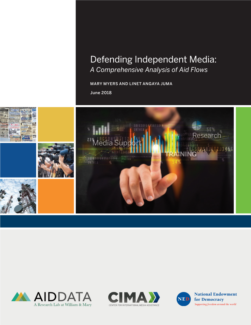 Defending Independent Media: a Comprehensive Analysis of Aid Flows