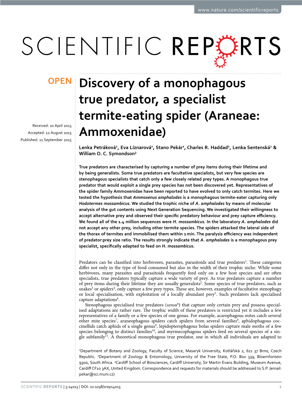 Discovery of a Monophagous True Predator, a Specialist Termite-Eating