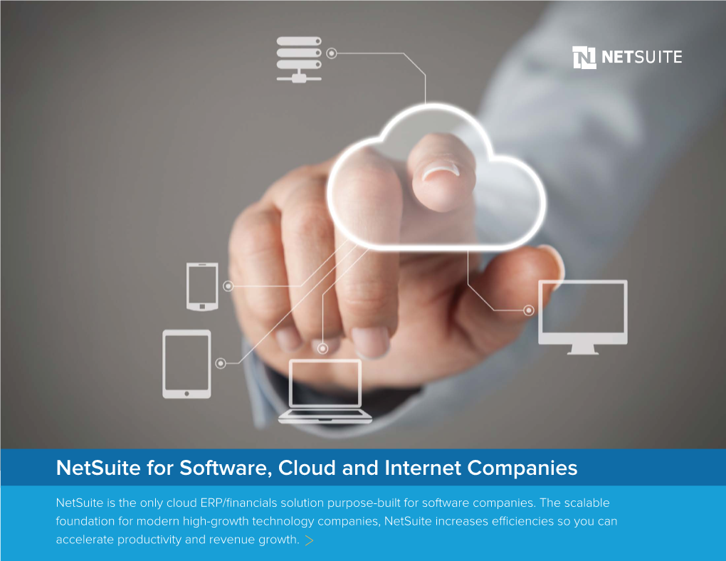 Netsuite for Software, Cloud and Internet Companies