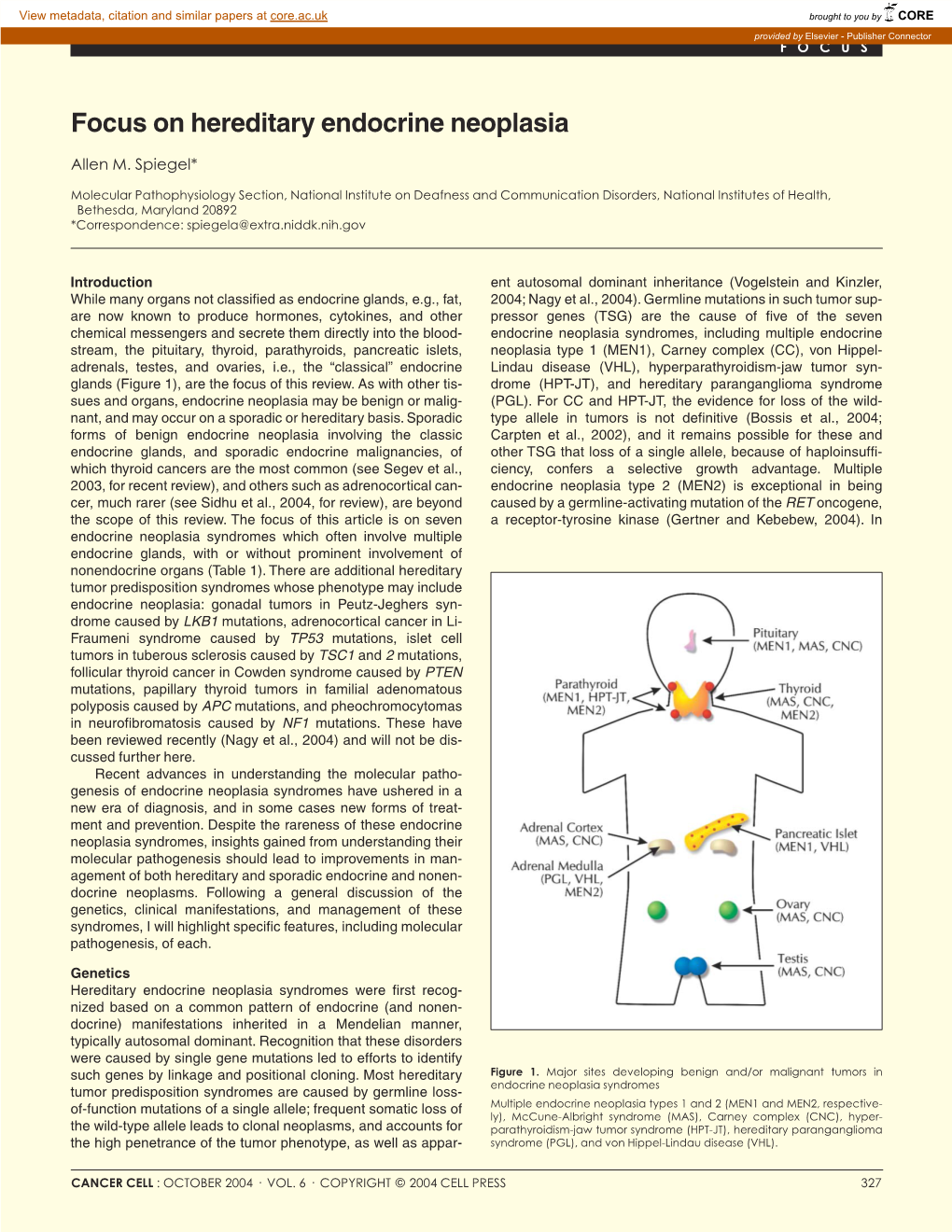 Focus on Hereditary Endocrine Neoplasia