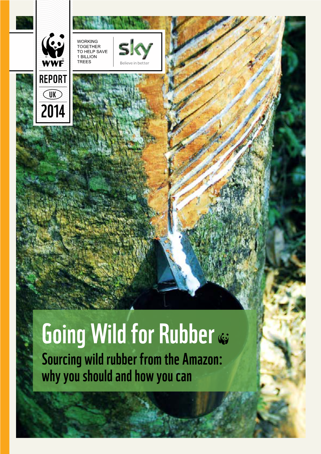 Wild Rubber Trees, Without Harming Them