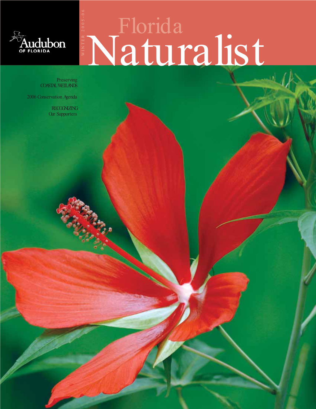 Audubon Florida Naturalist Magazine Winter 2005