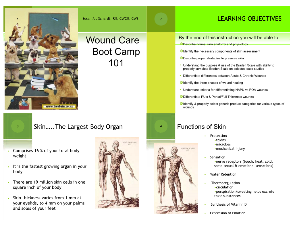 Wound Care Boot Camp