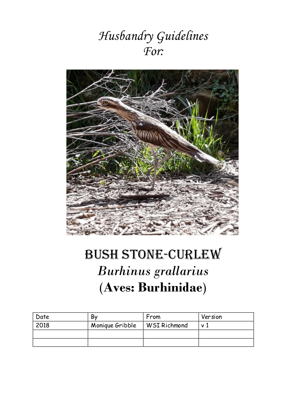 Husbandry Guidelines For: Bush Stone-Curlew Burhinus Grallarius