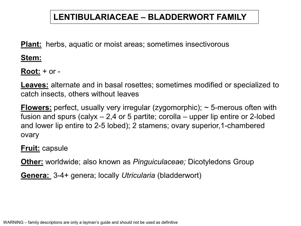 Lentibulariaceae – Bladderwort Family