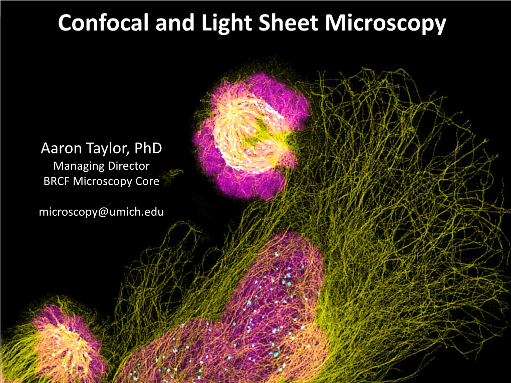 Confocal and Light Sheet Microscopy