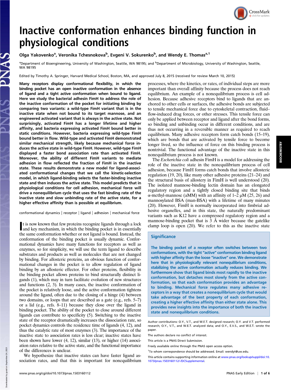 Inactive Conformation Enhances Binding Function in Physiological Conditions