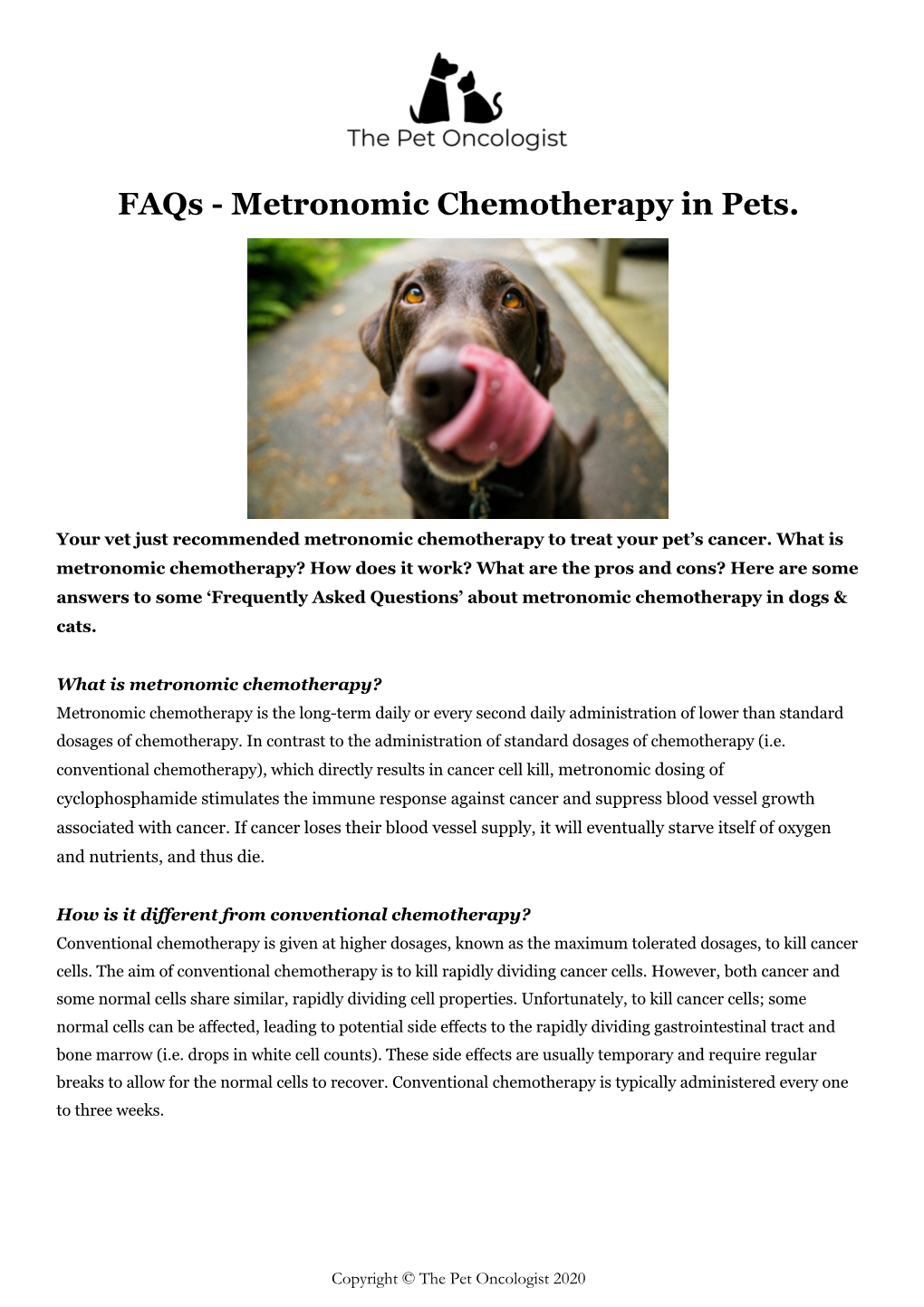 Metronomic Chemotherapy in Pets