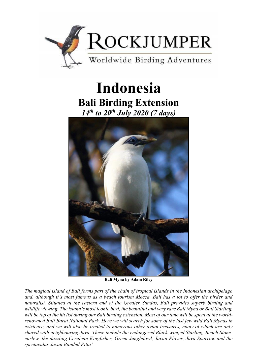 Indonesia Bali Birding Extension 14Th to 20Th July 2020 (7 Days)