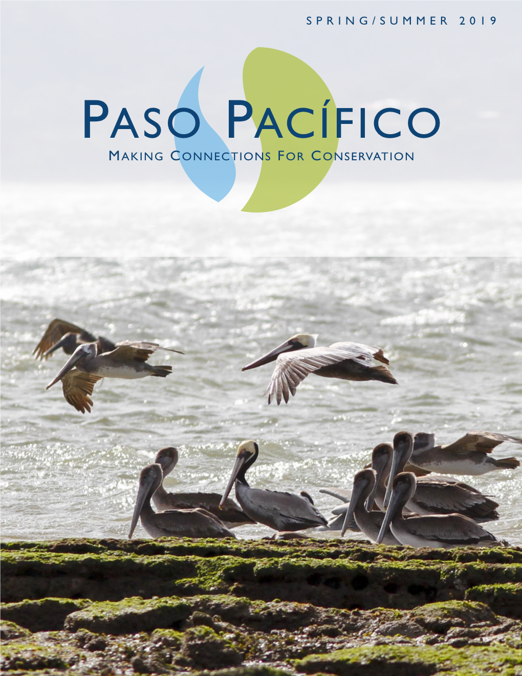 PASO PACÍFICO MAKING CONNECTIONS for CONSERVATION Belize