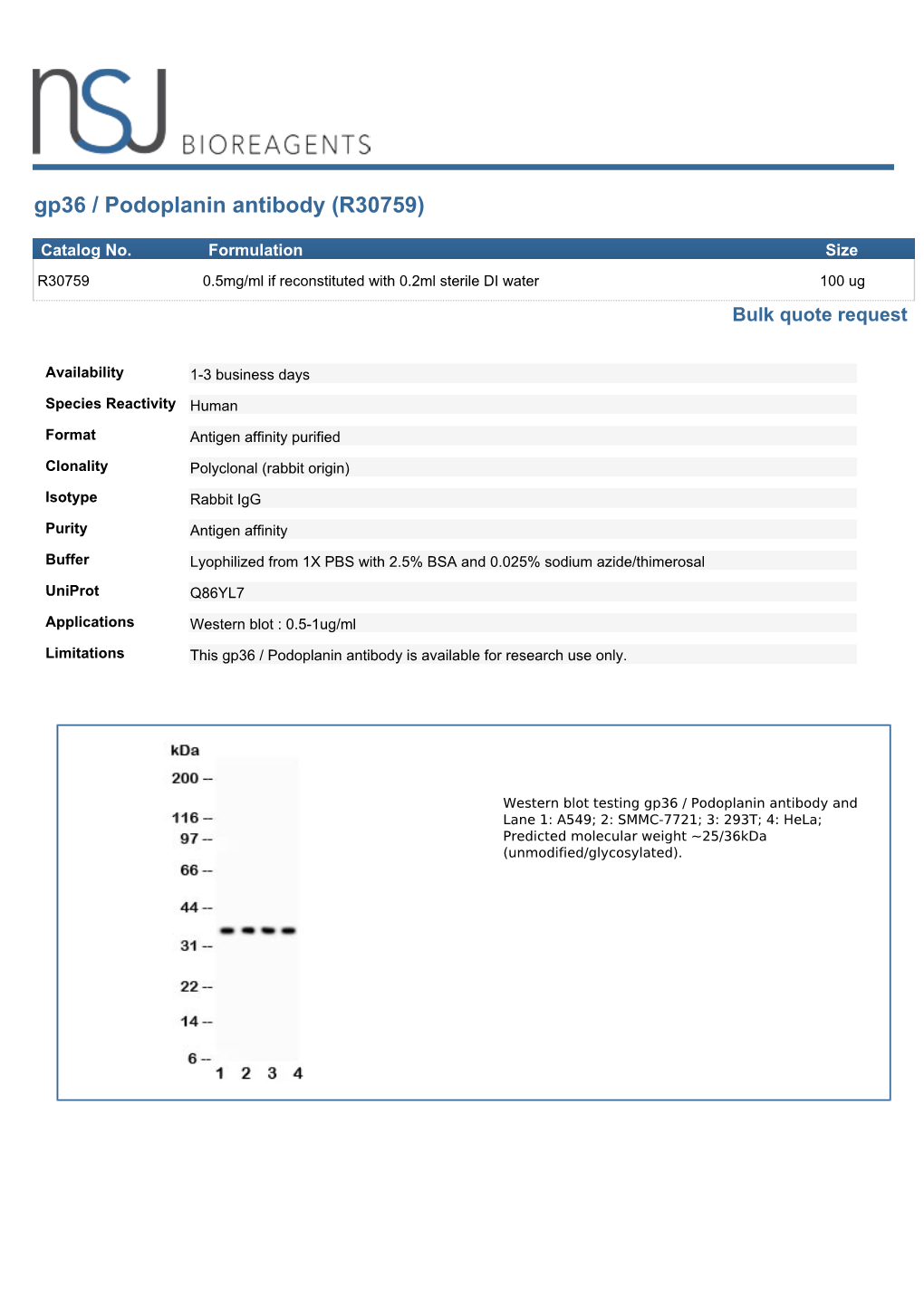 Gp36 / Podoplanin Antibody (R30759)