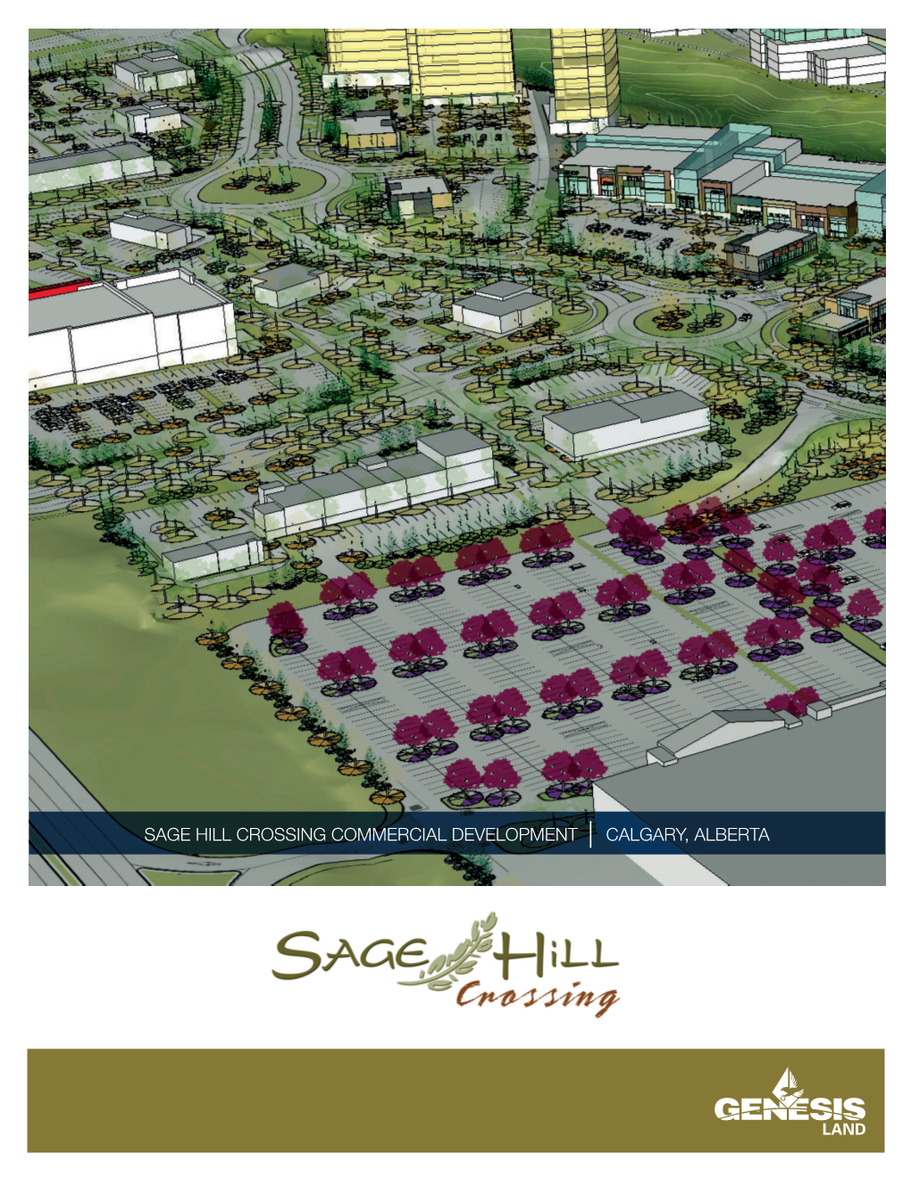 Sage Hill Crossing Commercial Development