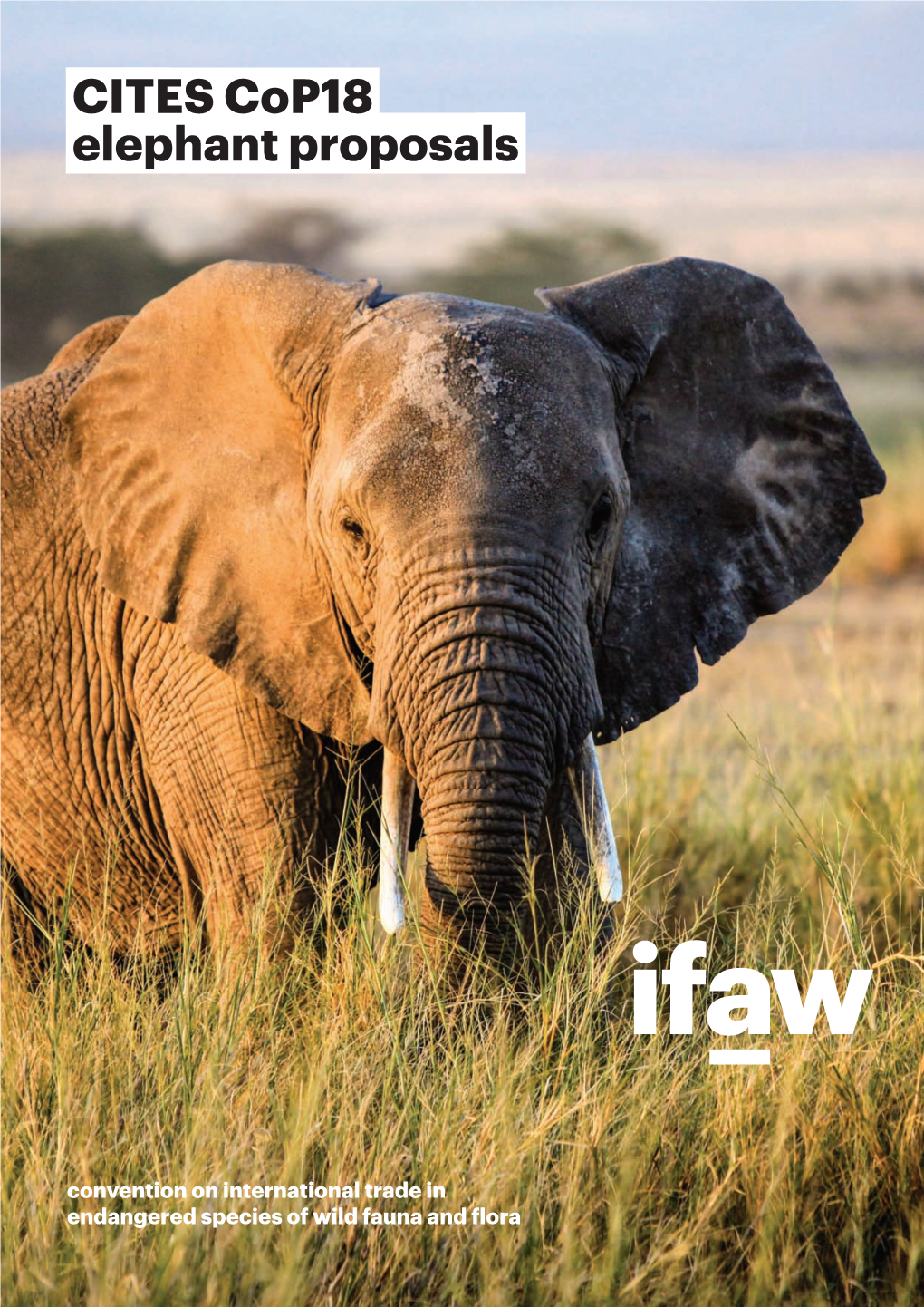 CITES Cop18 Elephant Proposals