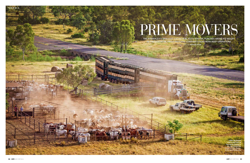 The Kimberley's Smallest Cattle Run, Kilto Station