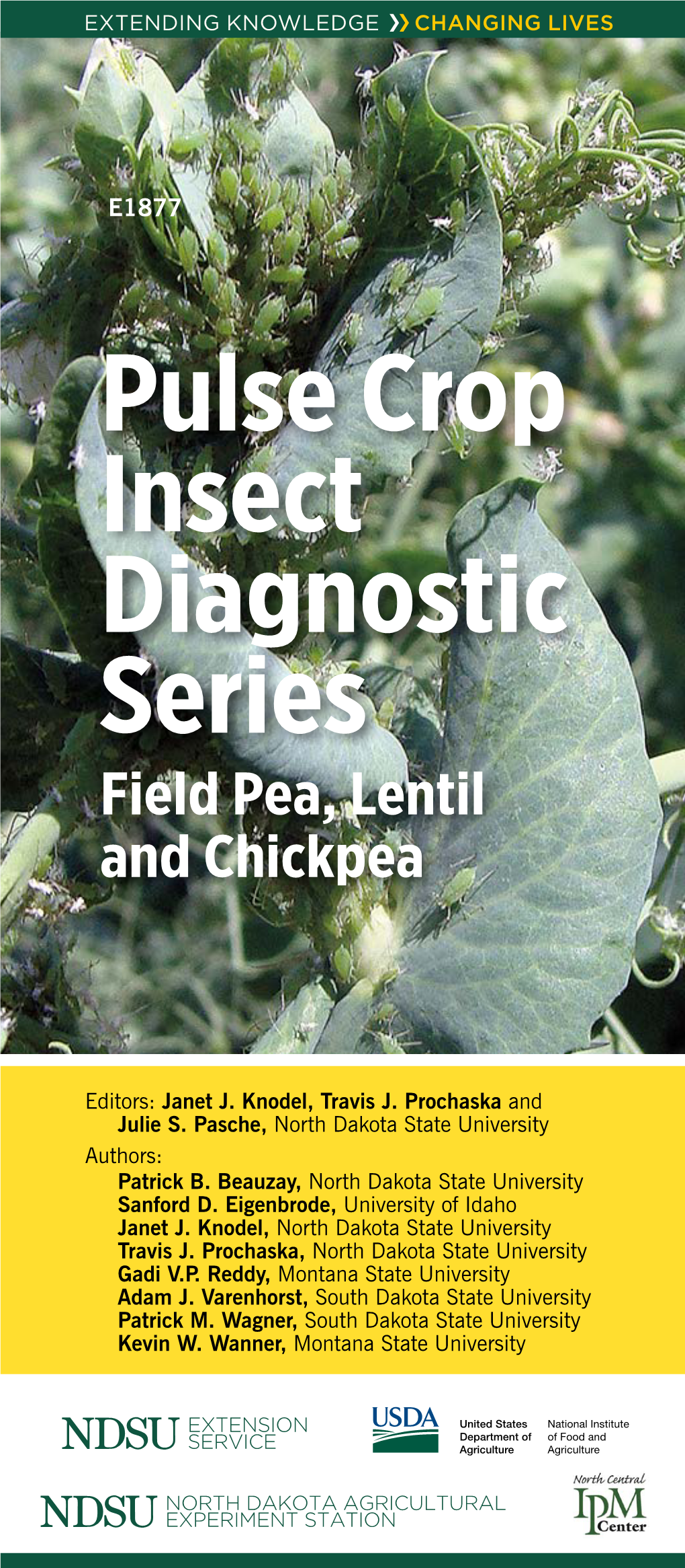 Pulse Crop Insect Diagnostic Series Field Pea, Lentil and Chickpea