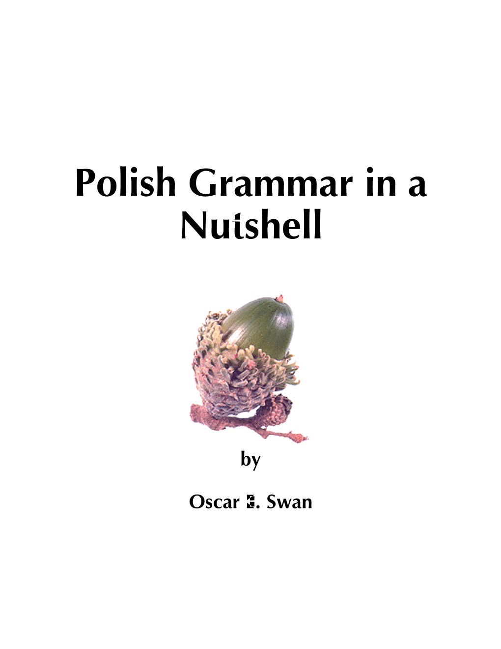 Polish Grammar in a Nutshell