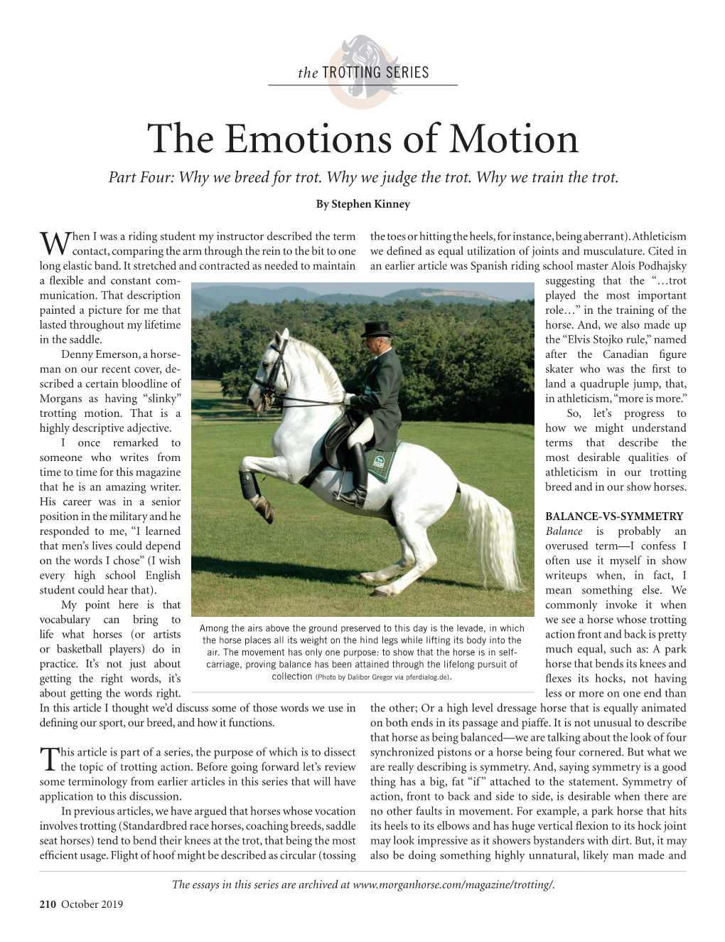 The Emotions of Motion Part Four: Why We Breed for Trot