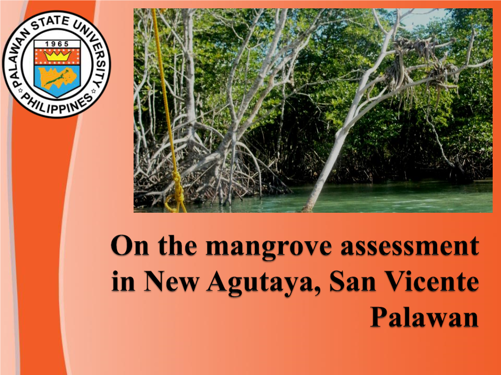 On the Mangrove Assessment at New Agutaya, San Vicente Palawan