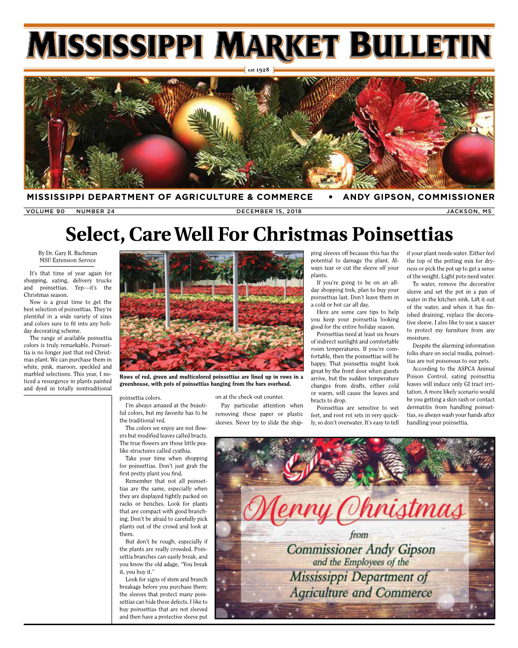 Select, Care Well for Christmas Poinsettias by Dr