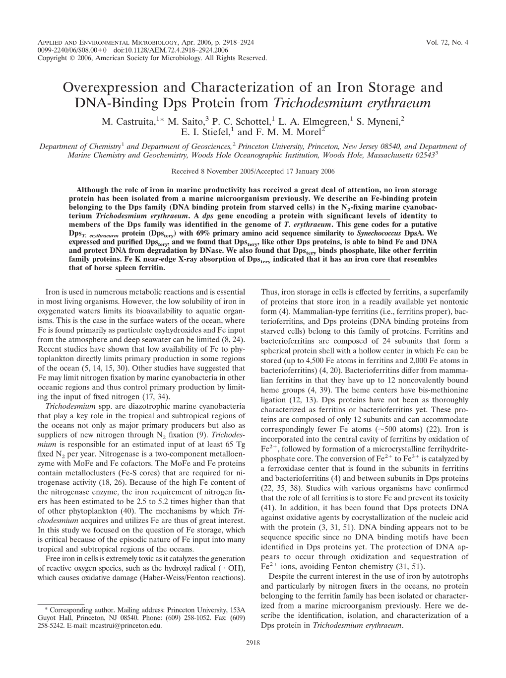 Overexpression and Characterization of an Iron Storage and DNA-Binding Dps Protein from Trichodesmium Erythraeum M