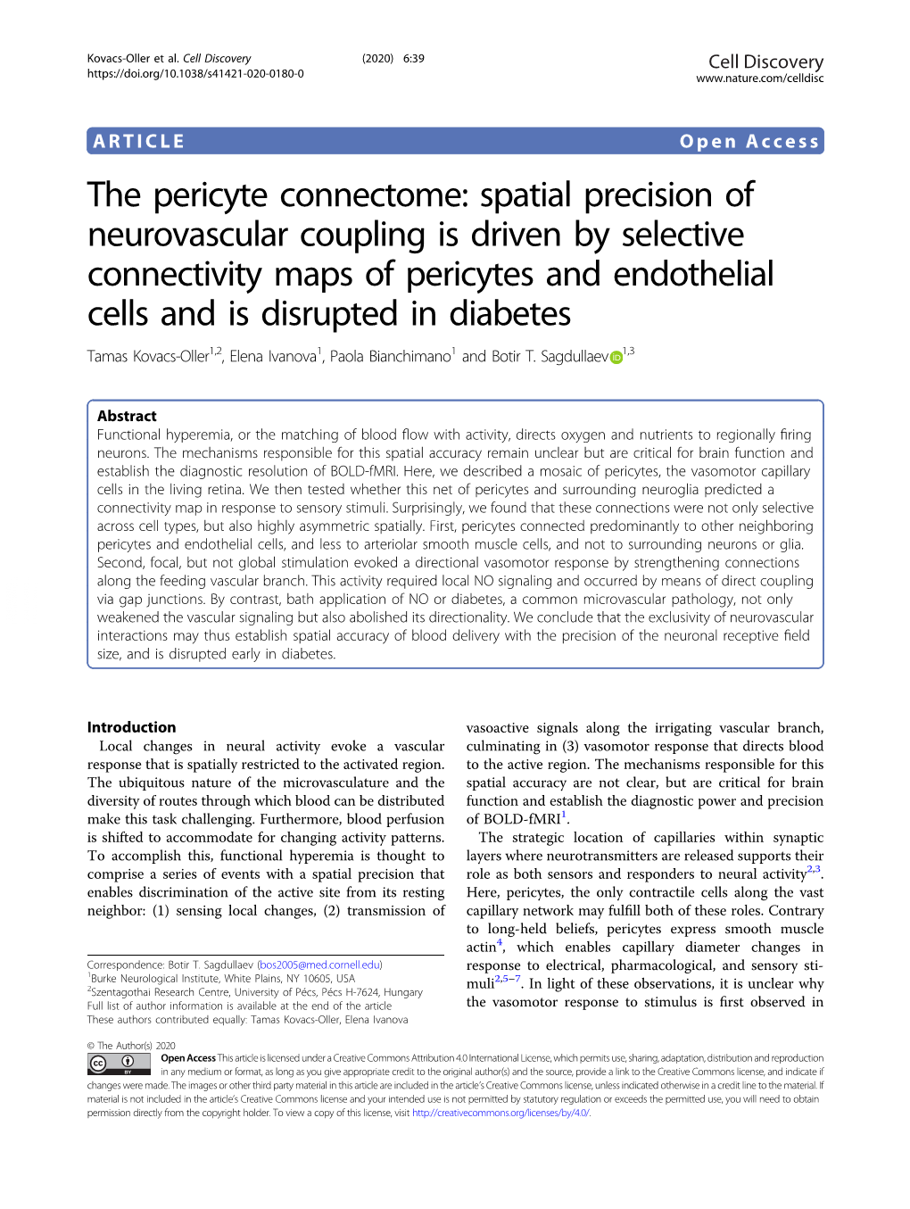 The Pericyte Connectome: Spatial Precision of Neurovascular Coupling