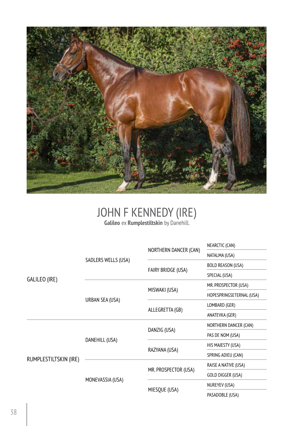 JOHN F KENNEDY (IRE) Galileo Ex Rumplestiltskin by Danehill